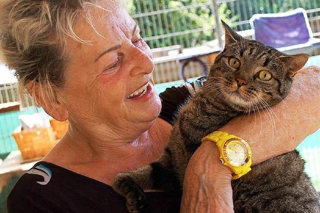Trauer um Katzenmutter Doris Beckert