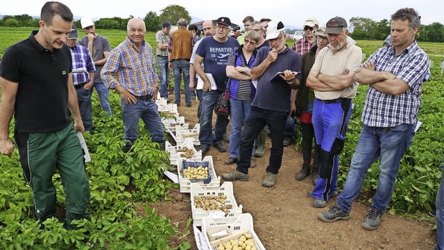 Sogar Landwirte aus der Schweiz und vo...en Frhkartoffelsorten zu begutachten.  | Foto: Hlter-Hassler
