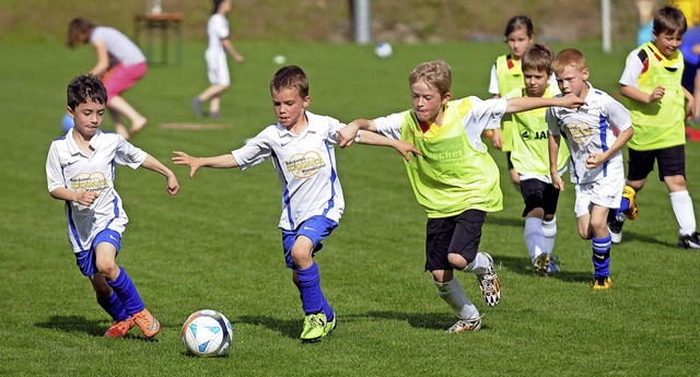 Mit dem gleichen Ernst wie die Groen ...lbe Trikots) um den Ball und um Tore.   | Foto: W. Knstle