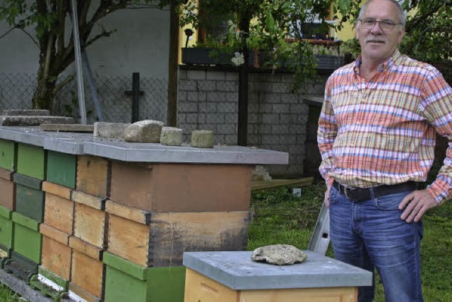 Markus Strau mit seinen Bienenvlkern, die momentan Akazienhonig produzieren.  | Foto: Elleser