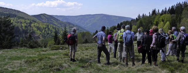 Schwarzwaldverein Ortsgruppe Waldkirch  bei ihrer Kostgfllwanderung.   | Foto: Wolfgang Zillgith