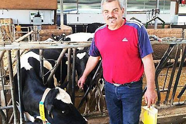 Milchbauern in Not: Gegen die Naturgewalt des Marktes