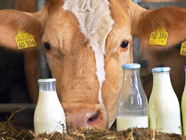 Der Milchpreis sinkt immer weiter, die...auern geraten zunehmend in Bedrngnis.  | Foto: Karl-Josef Hildenbrand