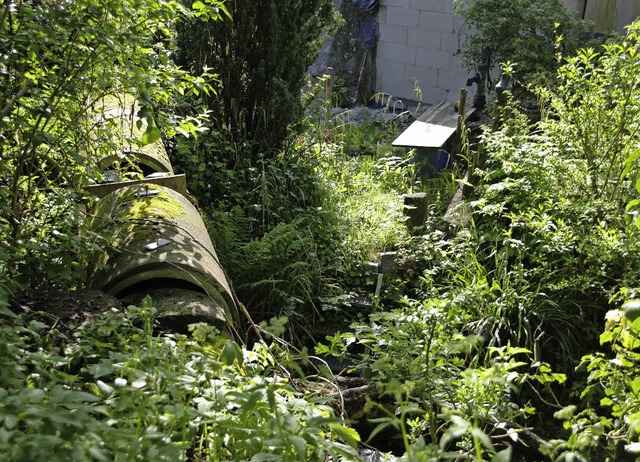 Der Mhlekanal in Sulzburg muss saniert werden.   | Foto: Martin Pfefferle