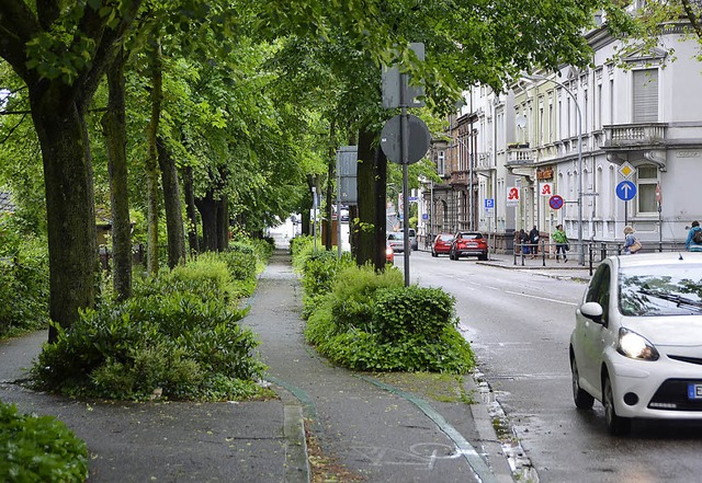 Der Verkehrsausschuss entscheidet am 8...enseitige Baumreihe fllt oder nicht.   | Foto: Ralf Burgmaier