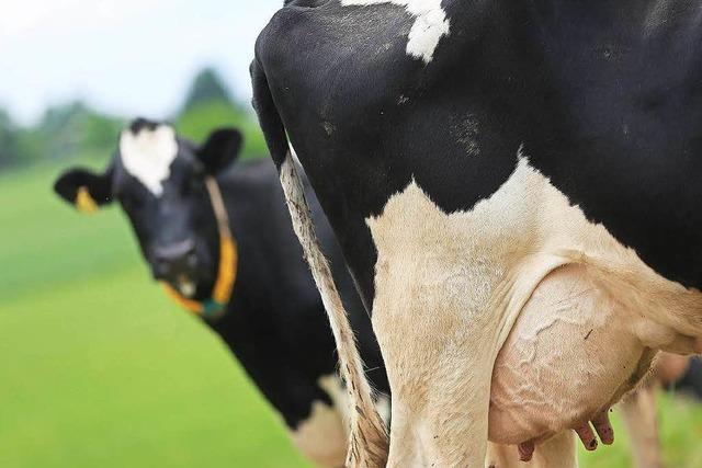 Ortenauer Milchbauern blockierten den Offenburger Kreisel