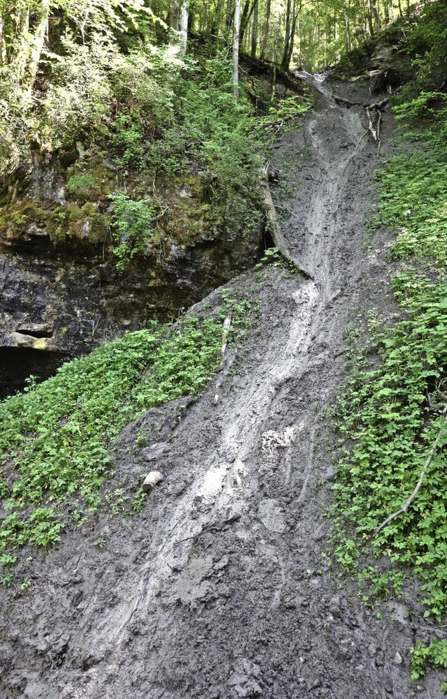 Der Wegabschnitt in der Wutachschlucht...tschgefahr bis auf weiteres gesperrt.   | Foto: Schwenninger