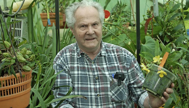 Eugen Meyer beherbergt in seinem Orchideenparadies viele Arten.   | Foto: Petra wunderle