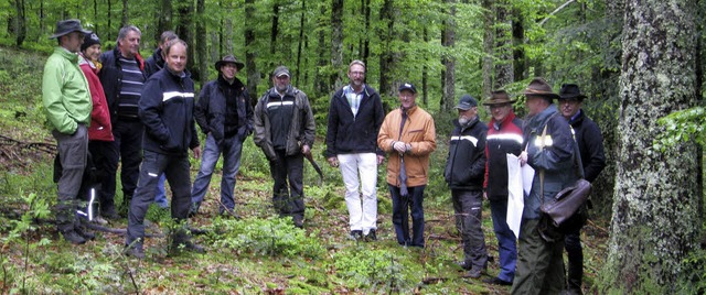 Bei einer Waldbegehung konnten sich di...Zustand  des Bernauer Forstes machen.   | Foto: Ulrike Spiegelhalter