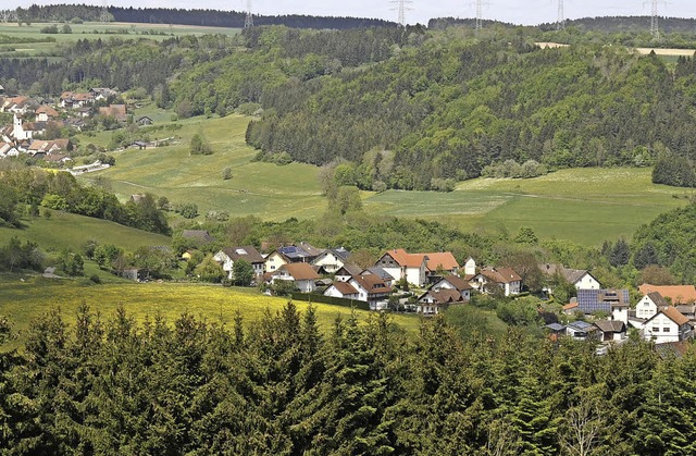 In Unterwangen (rechts) soll auf der o...s zu elf Einfamilienhuser entstehen.   | Foto: Dietmar Noeske