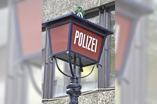 Basel schafft virtuelle Polizeiwache