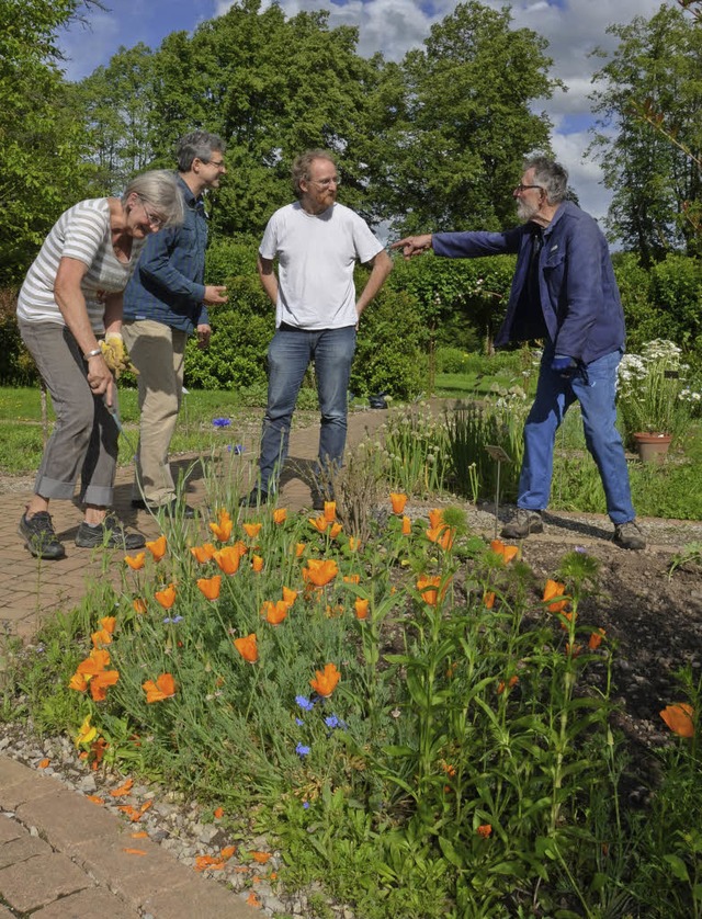 Es wird gepflanzt im Bibelgarten (von ...erer, Thomas Schmidt und Gnter Huber   | Foto: Ingrid Bhm-Jacob