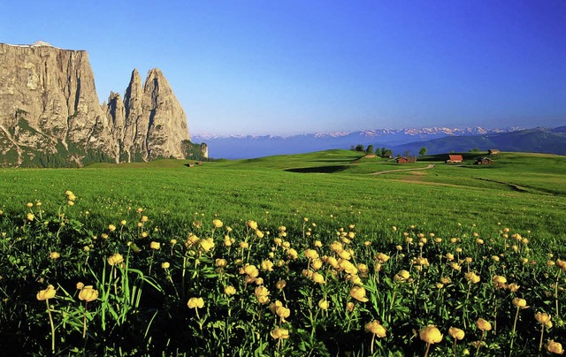 Die Seiser Alm mit dem Bergmassiv Schl...Sanins Heimatgemeinde Terlan entfernt.  | Foto: Touristik GmbH Badenweiler