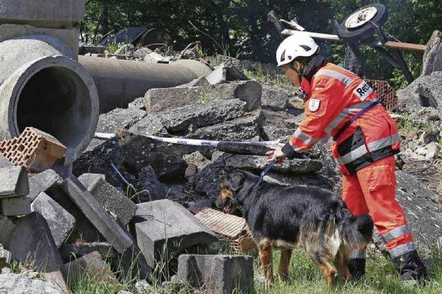 Hund und Mensch – ein rettendes Team