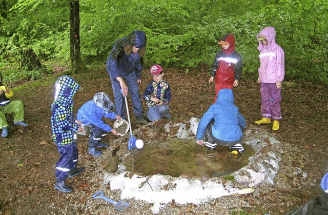   | Foto: Kindergarten Steinen