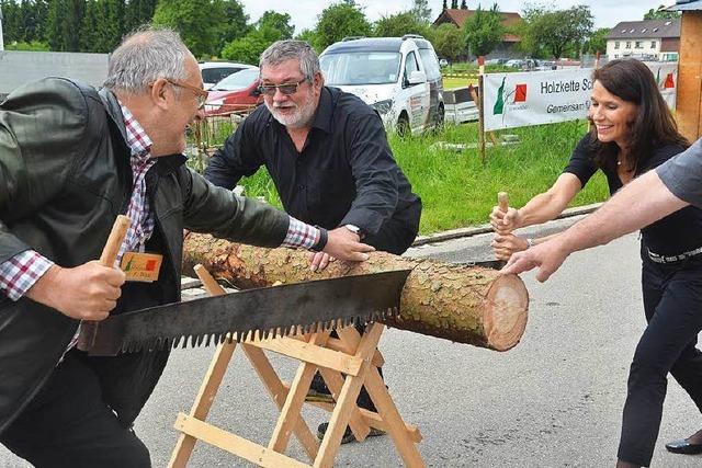 Fotos: 10. Schwarzwlder Holztage in Bonndorf