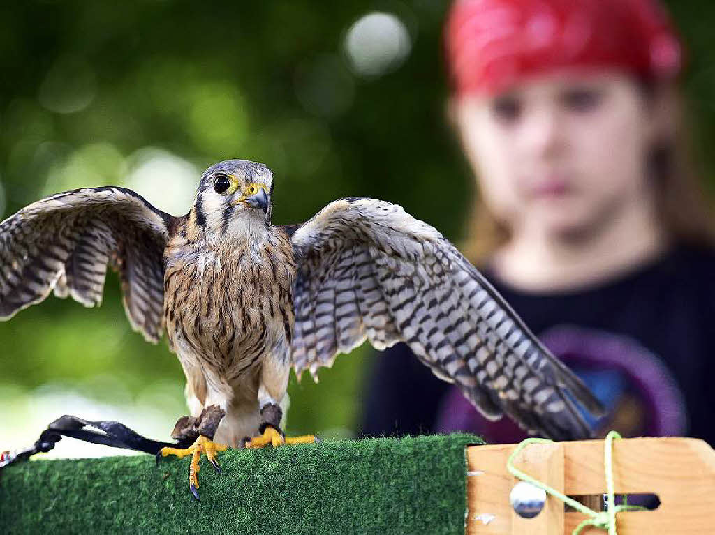 Mittelalterfest auf dem Mundenhof