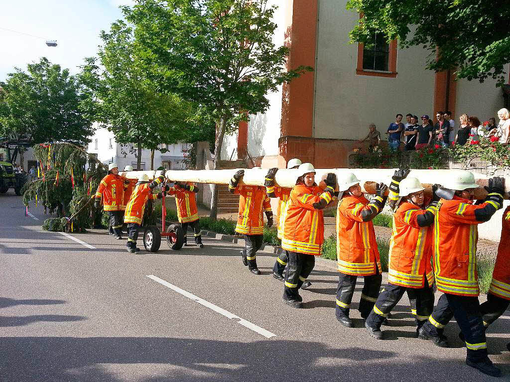 Die Feuerwehr stellt dem knftigen Brgermeister Ferdinand Burger die „Burgermeistertanne“ - eine stattliche Douglasie mit 18 Meter Hhe.
