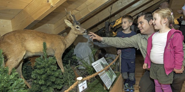 Ranger Alexander Schindler zeigt Kindern das ausgestopfte Reh.   | Foto: Bernhard Rein