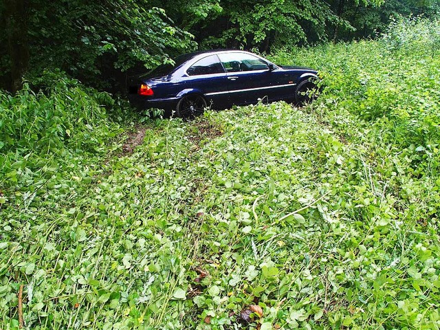 Ein 23-Jhriger aus dem Fricktal ist mit seinem BMW von der Strae abgekommen.  | Foto: Kantonspolizei
