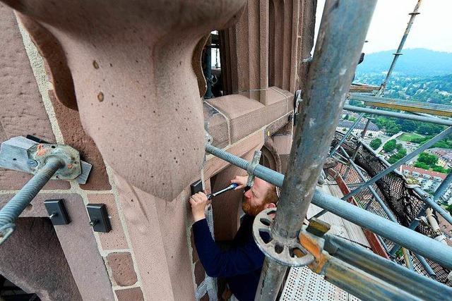 Freiburger Mnster: Bald sind zwei Drittel des Turmhelms wieder sichtbar