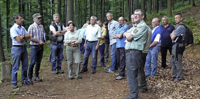 Kommunalpolitiker und Forstexperten be...Tour durch den Ettenheimer Stadtwald.   | Foto: Stadt