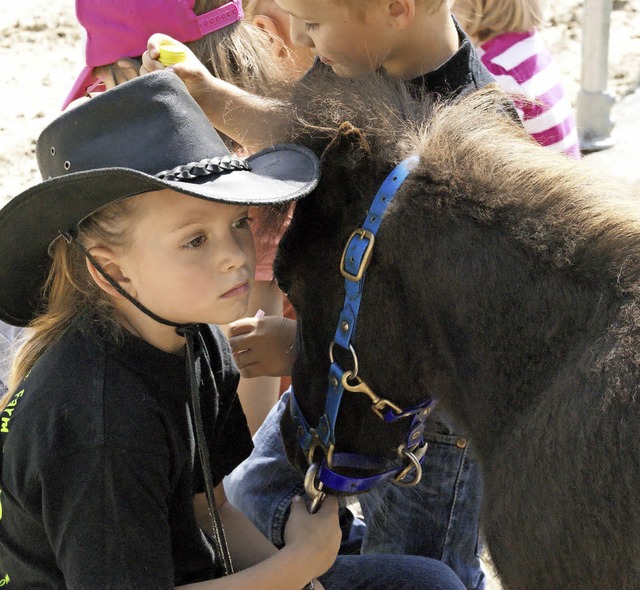 Die Ponys sollen auch bei den kleinen Gsten  fr gengend Unterhaltung sorgen.   | Foto: Susanne Braunhfer