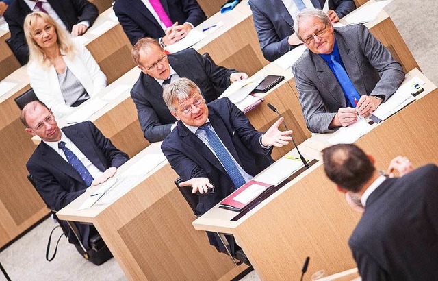 Jrg Meuthen am Donnerstag im Landtag  | Foto: dpa