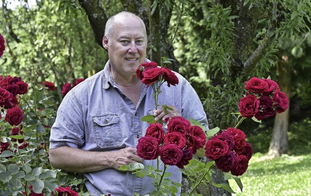 Schn!  Diesen   Rosenstrauch entdeckt...totermin im Freiburger Colombipark.     | Foto: kunz