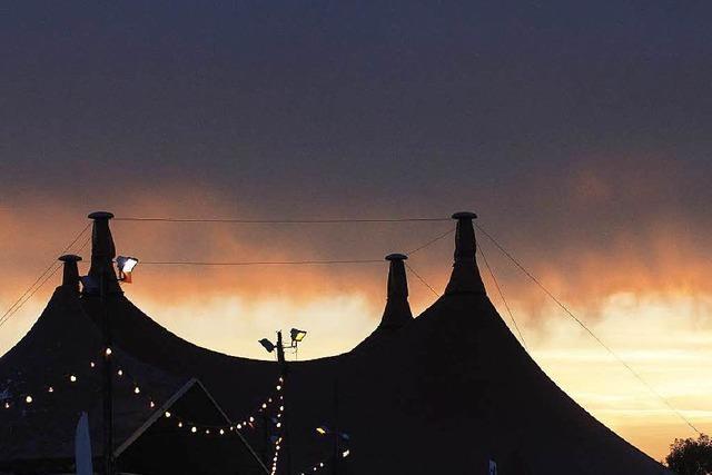 Schäden auf dem Areal des Zelt-Musik-Festivals: Stadt und ZMF suchen Lösungen