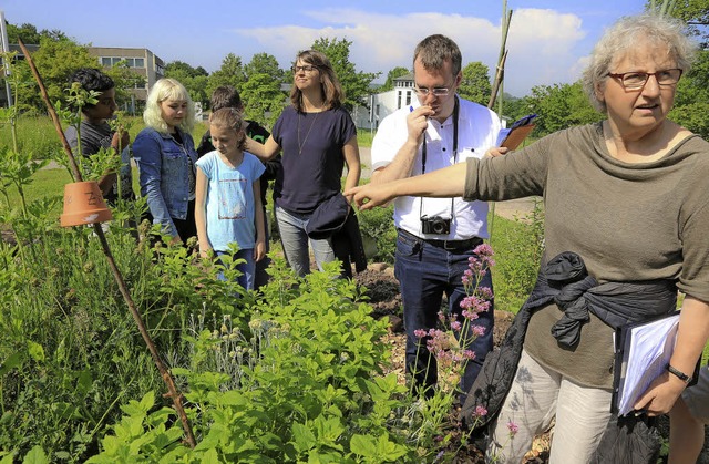 <BZ-FotoAnlauf>Schulgarten:</BZ-FotoAn...ulgarten der Heimschule St. Landolin.   | Foto: Sandra Decoux-Kone