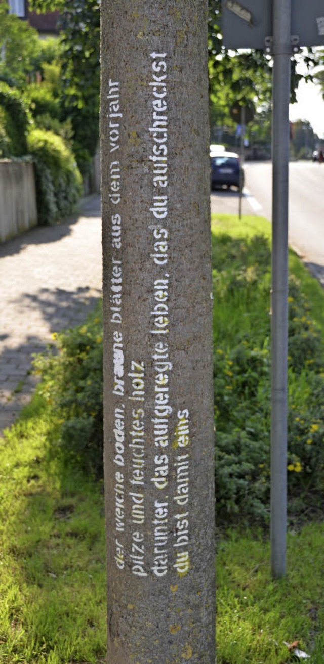 Texte an Platanen in der Freiburger Strae.  | Foto: Fischer