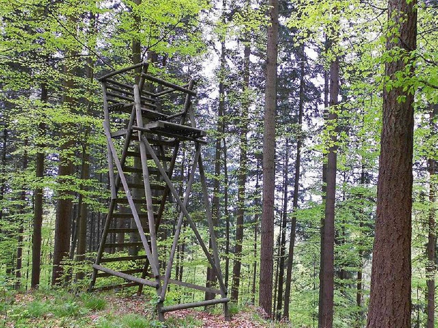 Wer ist der Tter oder wer sind die T...st immer wieder  Hochsitze zerstren?   | Foto: Symbolbild: Langelott