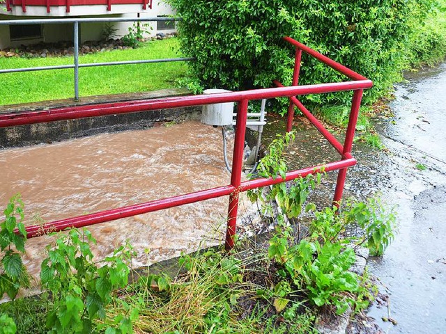 Viel zu viel Wasser: berflutungen in Waldkirch.  | Foto: Sylvia Sredniawa