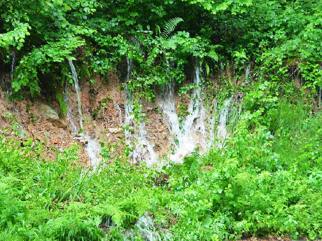 Groe Wassermengen rauschen durch den Wald am Kastelberg talabwrts – der Boden nimmt kein Wasser mehr auf.