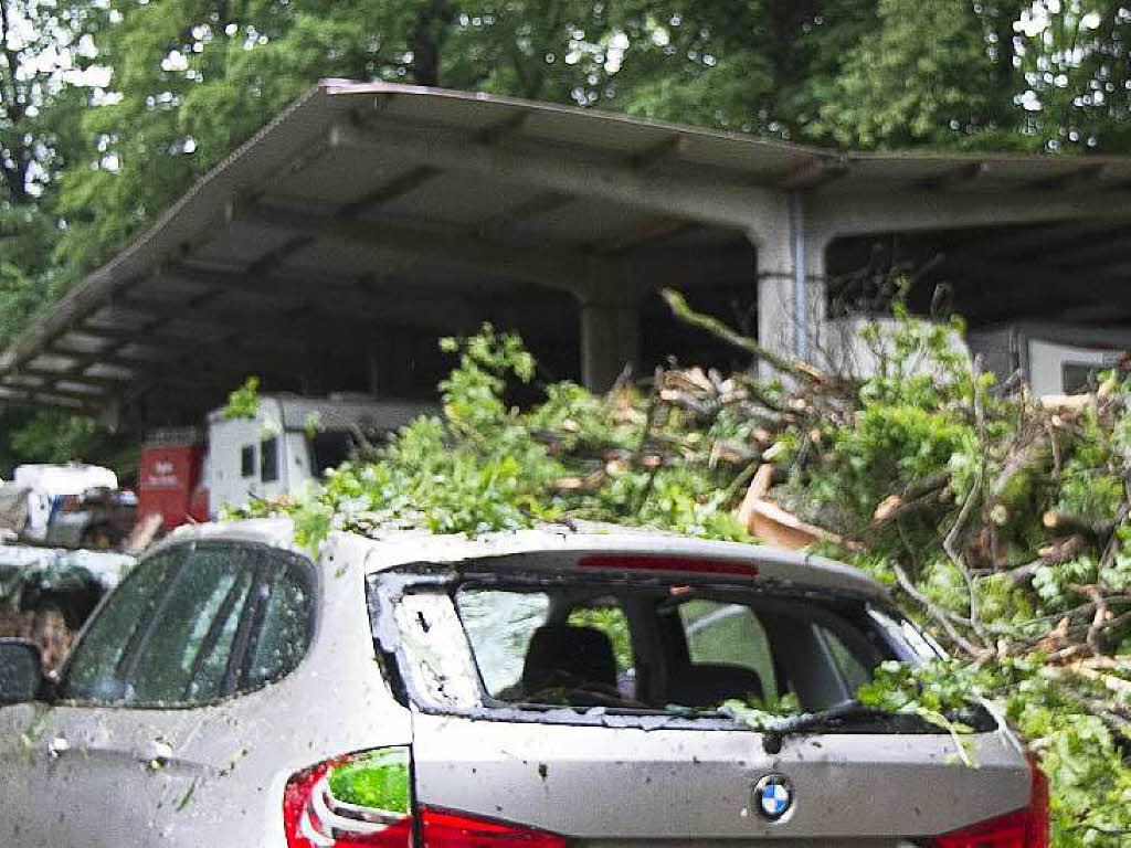 Im Schmelzofen bekam ein Auto einen Baum ab.