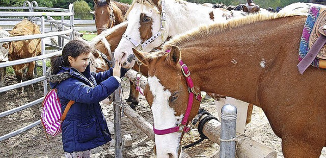 Toll fr Kinder: Viele Pferde lassen s...es Kleinvieh zeigten sich zugnglich.  | Foto: Edgar Steinfelder