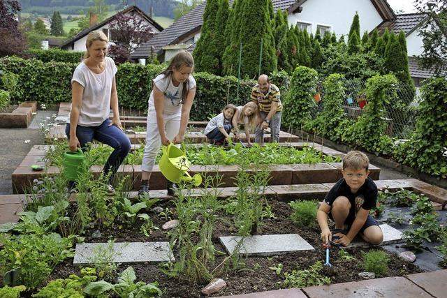 Gartenoase fr Schler, Bienen und Hummeln