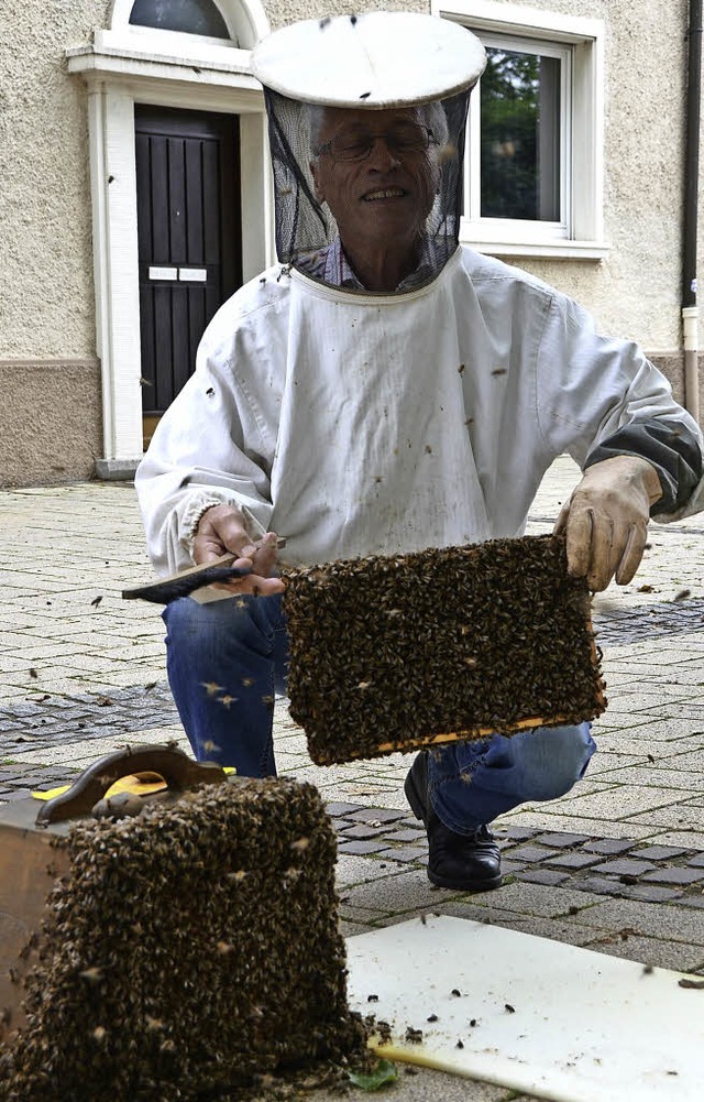 Imker Egon Wenk sammelt die Bienen ein.   | Foto: Peter Gerigk