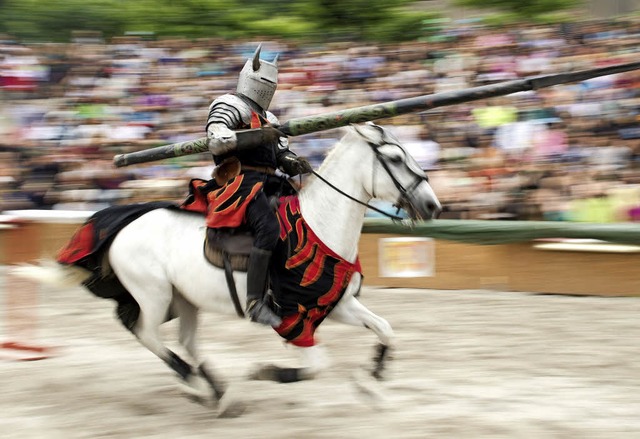 Schnell wie der Wind: Ein Ritter im Anmarsch  | Foto: dpa