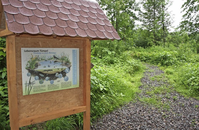 Infotafeln im Riedwald zwischen Herbol...erlutern die Eingriffe in die Natur.   | Foto: Michael Haberer