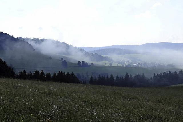Naturschutzorganisationen stellen mit einem Veranstaltungsprogramm das Biosphärengebiet Schwarzwald vor
