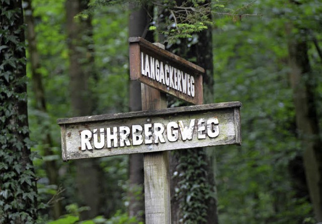 Die Schden an Waldwegen durch den vie...der Schdlingsbekmpfung nicht voran.   | Foto: Peter Gerigk/Rolf reimann