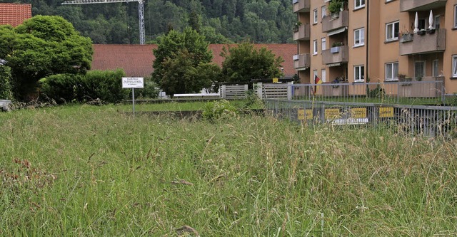 Das war einmal ein Spielplatz in der B...eute wchst buchstblich Gras drber.   | Foto: Marlies Jung-Knoblich