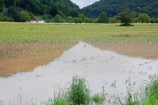 Auf vielen Feldern, hier in Degerfelden, steht Wasser.  | Foto: Petra Wunderle