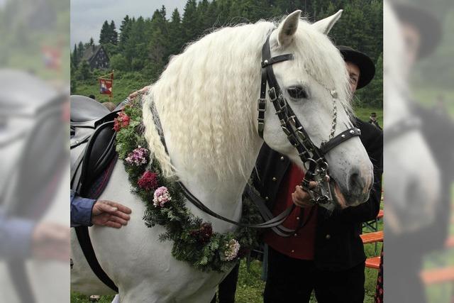 Eulogi-Ritt in Lenzkirch: Von Pferden, die Pfarrer tragen
