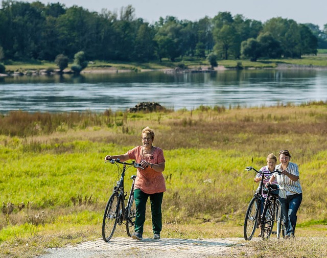 Radlerrevier: unterwegs  im Biosphrenreservat, die  Elbe im Blick   | Foto: dpa