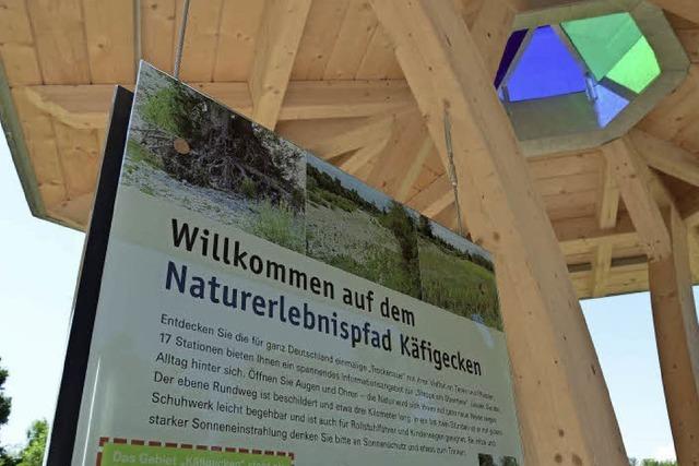 Die Steppe am Oberrhein