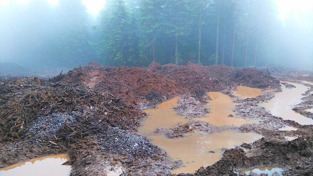 Regen ohne Ende: Derzeit steht die  Ba... Windpark Rohrenkopf in Gersbach still  | Foto: privat