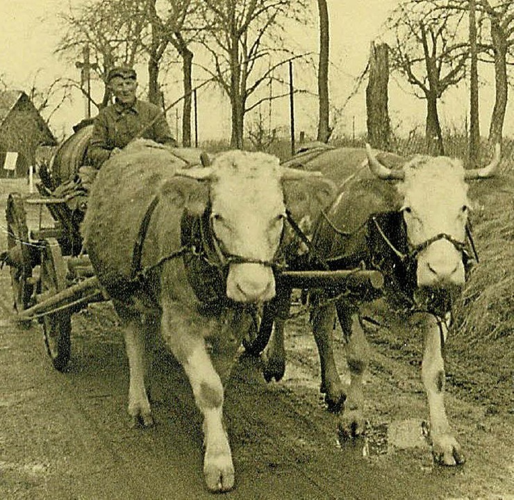 Bei ihren Jubilumsfeierlichkeiten bli...h stammt es aus einer hnlichen Zeit.   | Foto: Stadtarchiv Staufen, Rainer Ruther